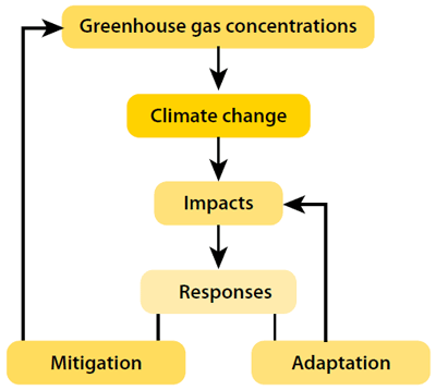Skillnaden mellan anpassning och utsläppsminskning. Bildkälla: weADAPT