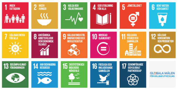 Bland de 17 globala målen för hållbar utveckling är mål 13 det utpekade klimatmålet och lyder "Bekämpa klimatförändringen". Bild: UNDP Sverige