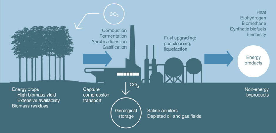 Processen i ett biokraftverk med BECCS. Bild: Nature